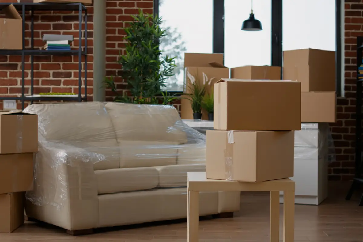 Furniture Removals