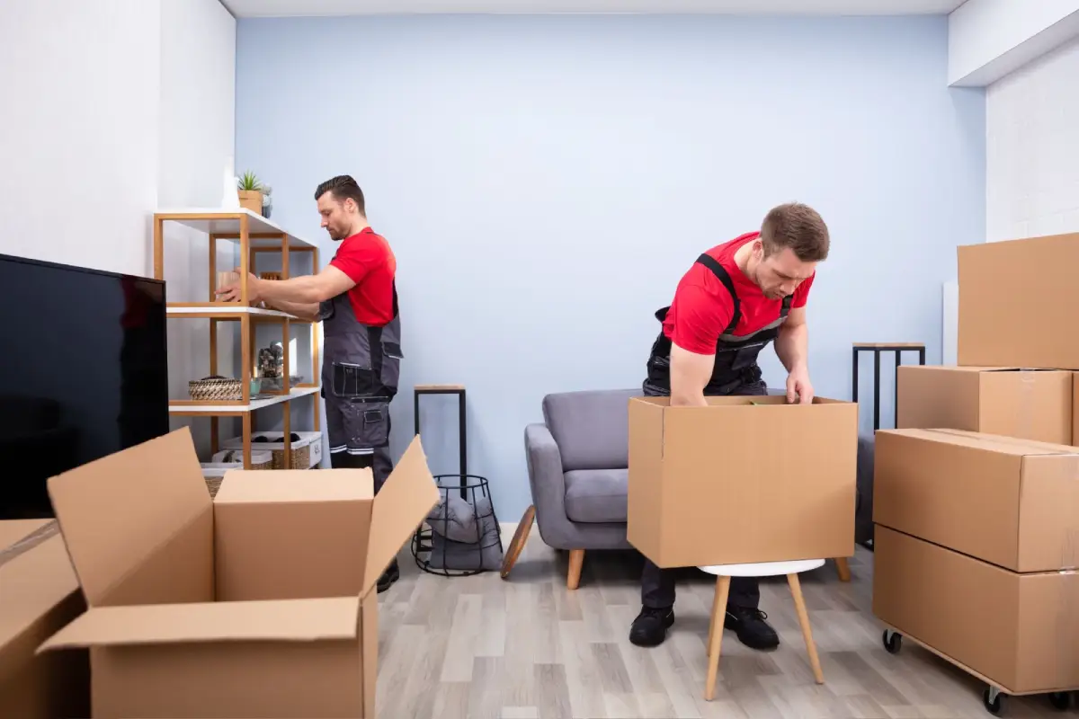 Office Removals