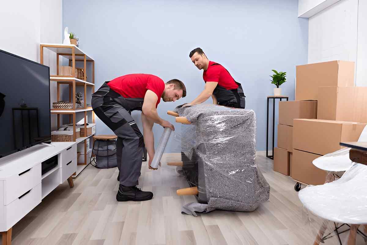 Office Removals